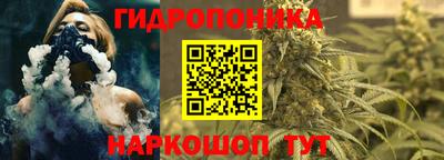 гашишное масло Сланцы